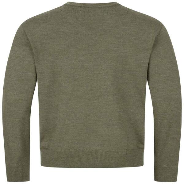 Blaser Merino V-Neck Sweater