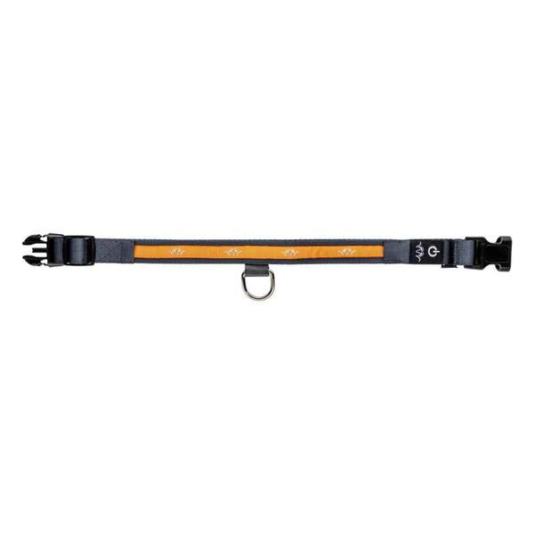 Blaser ogrlica za psa