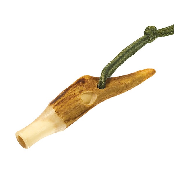 Vabilica Lisica