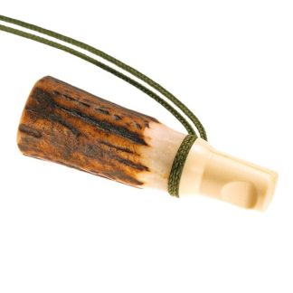 Vabilica vrane