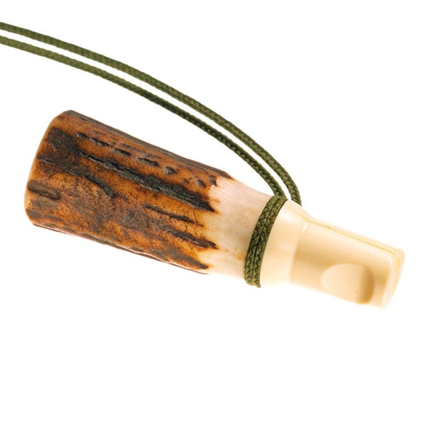 Vabilica vrane
